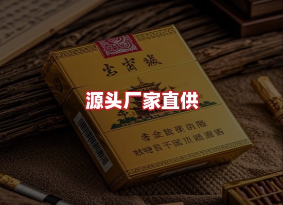 专业团队